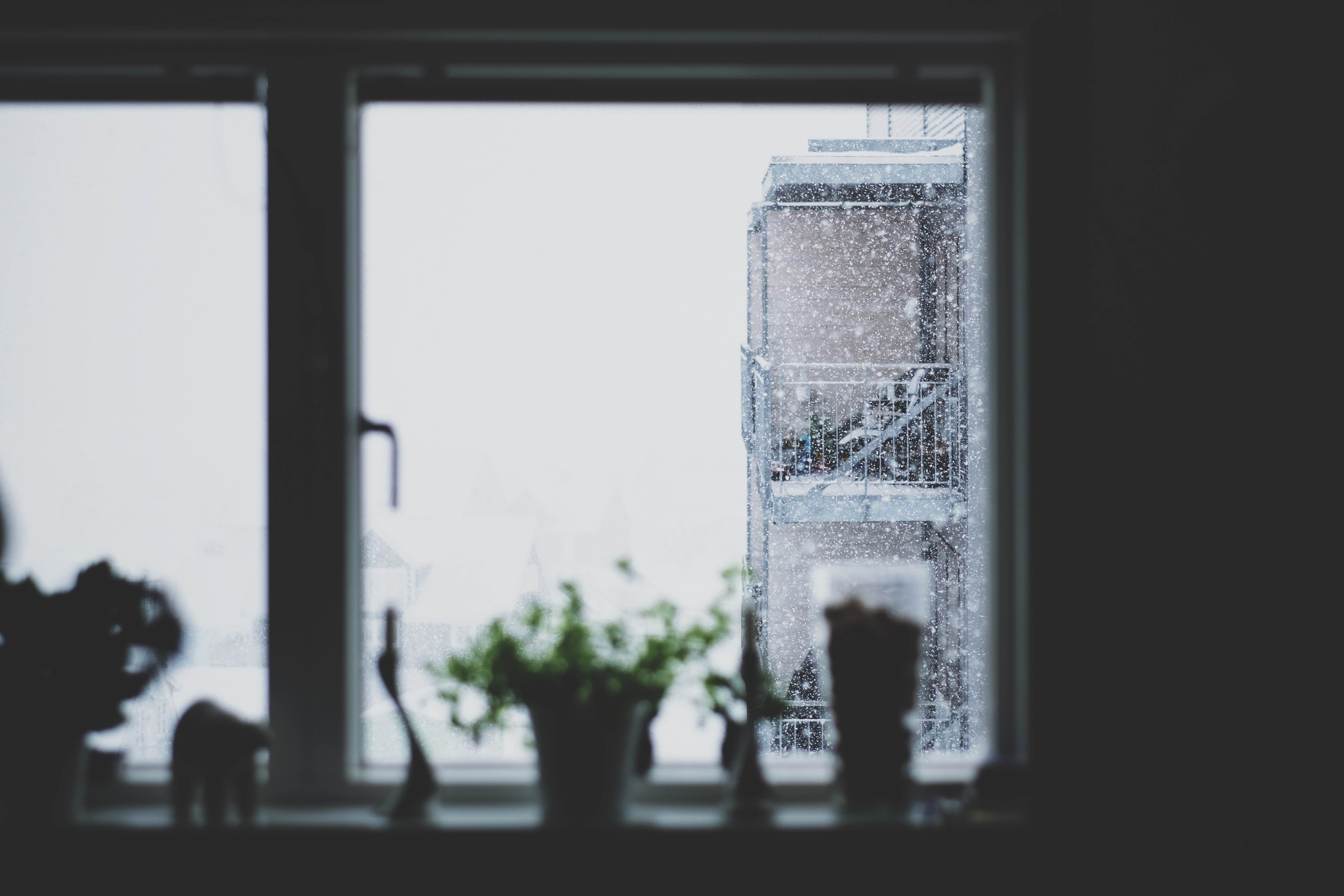 View of snowfall out of a window with plants and decorations on the window sill.